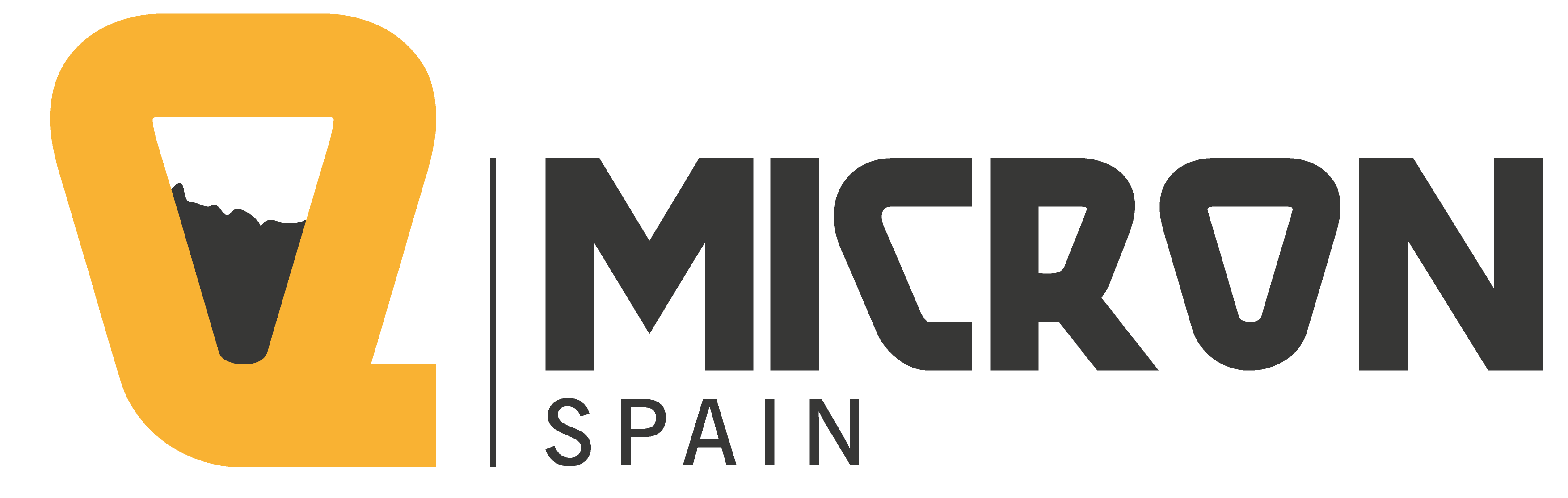 Micron Spain